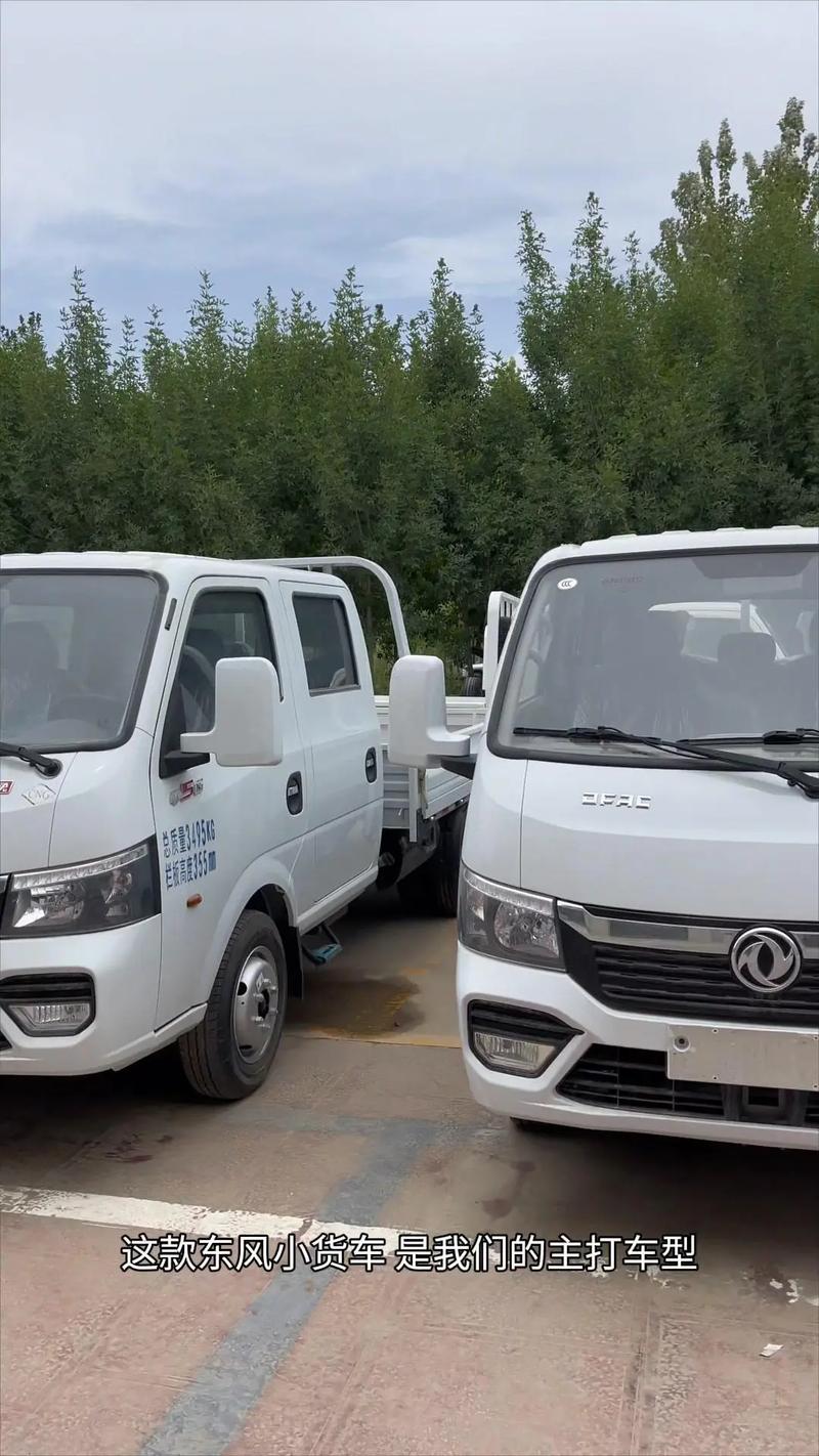 如何挑选最适合的东风小卡货车?(图1) 关于购买东风牌卡车的报告_买东风货车必配的东西_购买东风小卡货车时,需要考虑哪些配置因素?